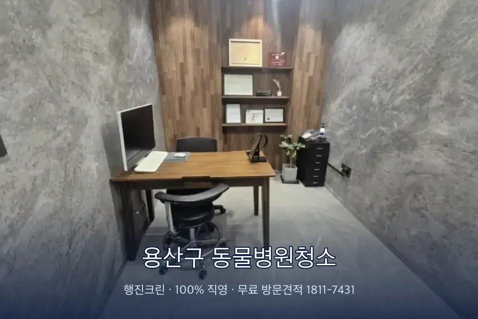 용산구 동물병원청소 원장실 책상 주변 청소