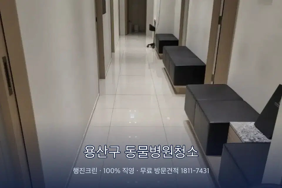 용산구 동물병원청소 병원 복도 바닥을 닦는 청소 작업자